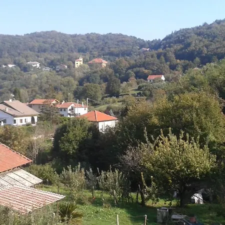 Nel Tuo Mondo Morigallo