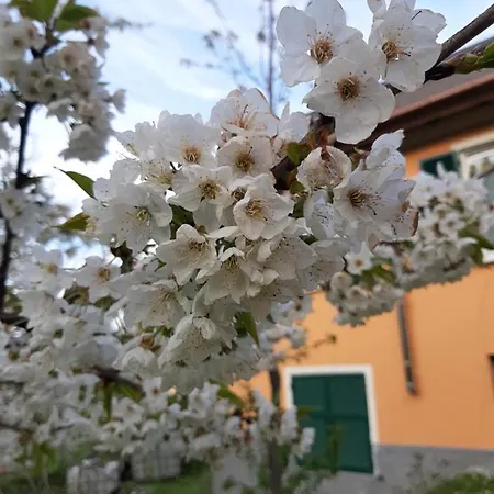 Appartement Nel Tuo Mondo *